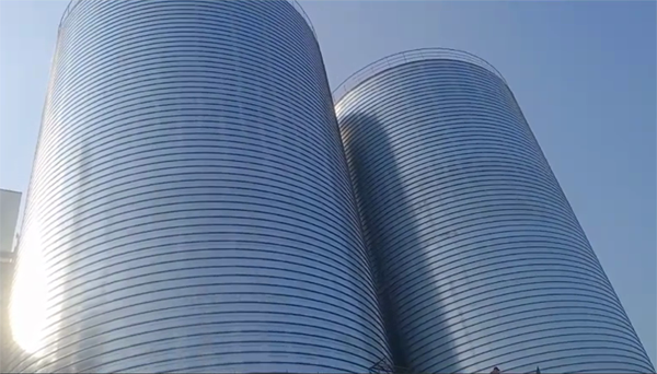 满城2座混凝土高架卷板仓